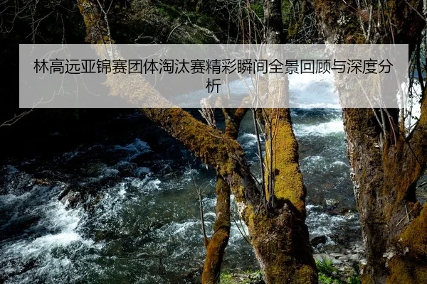 林高远亚锦赛团体淘汰赛精彩瞬间全景回顾与深度分析